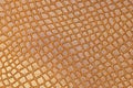 Snake brown leather Royalty Free Stock Photo