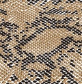 Snake brown skin seamless  pattern. Reptile seamless texture. Animal print. Modern endless texture for textile, dress, Royalty Free Stock Photo