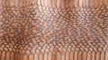 Snake brown skin texture Royalty Free Stock Photo