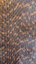 Snake brown skin texture Royalty Free Stock Photo