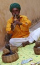 Snake charmer. India. Rajasthan. Royalty Free Stock Photo