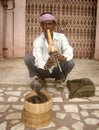 Snake charmer, Jaipur, India