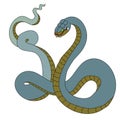 snake cobra tattoo style Cobra vector.