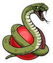 Snake Cricket Ball Animal Sports Team Mascot