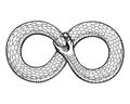 Snake curled in infinity ring. Ouroboros devouring Royalty Free Stock Photo