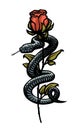 A snake entwined around a rose. Vector illustration.