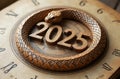 The snake forms a perfect circle, representing the endless cycle of time, as it wraps around the emblem of 2025.
