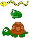 Snake, frog and turtle