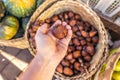 Snake fruit Salacca on sale on a local organic food and fruits market. Bali island. Royalty Free Stock Photo