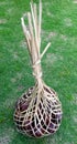 Snake fruit in a traditional bamboo made bag