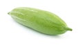 Snake gourd Royalty Free Stock Photo