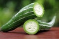 Snake gourd Royalty Free Stock Photo
