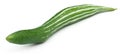 Snake gourd Royalty Free Stock Photo