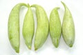 Snake Gourd Royalty Free Stock Photo