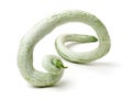 Snake gourd Royalty Free Stock Photo