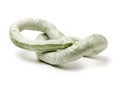 Snake gourd Royalty Free Stock Photo