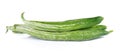 Snake gourd on white background