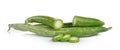 Snake gourd on white background