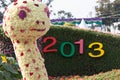 Snake year 2013 Royalty Free Stock Photo