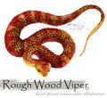 Snake hand drawn watercolor illustration. Rough Wood Virer