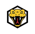 Snake head logo design illustration Royalty Free Stock Photo