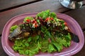 Snake-head fish Deep Fried serve with Herb and Spicy Sauce Royalty Free Stock Photo