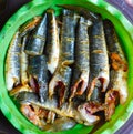 Snake head fish on dish close up photography Royalty Free Stock Photo