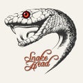 Snake Head Illustration Royalty Free Stock Photo