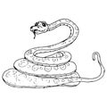 Snake icon. Vector illustration of a cute snake curled up into rings. Hand drawn cartoon snake python