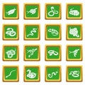 Snake icons set green square