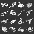 Snake icons set grey vector Royalty Free Stock Photo