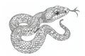 Snake illustration on white background. Coloring book for kids Royalty Free Stock Photo