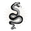 Snake illustration on white background. Design element for poster, t shirt, emblem, sign. Royalty Free Stock Photo