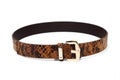 Snake leather belt