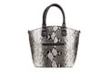 Snake leather elegant women bag. Fashionable female handbag, isolated