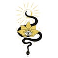 Snake with lotus. Line art. Spiritual occultism objects.