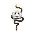 Snake with lotus. Vector hand drawn illustration on white background Royalty Free Stock Photo