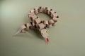 a snake made out of toilet paper rolls, craft made of recycle cardboard, DIY Royalty Free Stock Photo