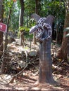 Snake in prachin kokan muziam in ganpatipule