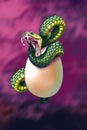 Snake protects his egg Royalty Free Stock Photo