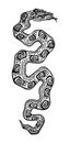 Snake, Python, boa 31
