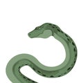 Snake Python Boa Serpent Reptile Animal Royalty Free Stock Photo