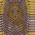 Snake python skin texture. Seamless pattern. Vector