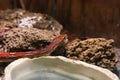 snake with red-brown spots on the background of stones in the terrarium close-up. Royalty Free Stock Photo