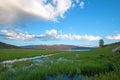 Snake River and marshy grass bank in the morning under cumulus clouds in Alpine Wyoming Royalty Free Stock Photo