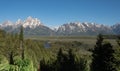 Snake River Overlook in Grand Teton National Park with Mature Trees Obscuring Bend in River Royalty Free Stock Photo