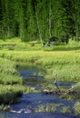 Snake River Yellowstone