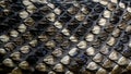 Snake scale background texture Royalty Free Stock Photo