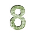 Snake scales font.The digit eight, 8 cut out of paper on the background of a green snake skin with large scales. Set of decorative