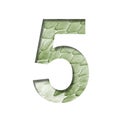 Snake scales font.The digit five, 5 cut out of paper on the background of a green snake skin with large scales. Set of decorative